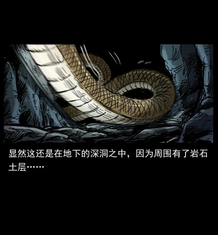397 神王之怒59