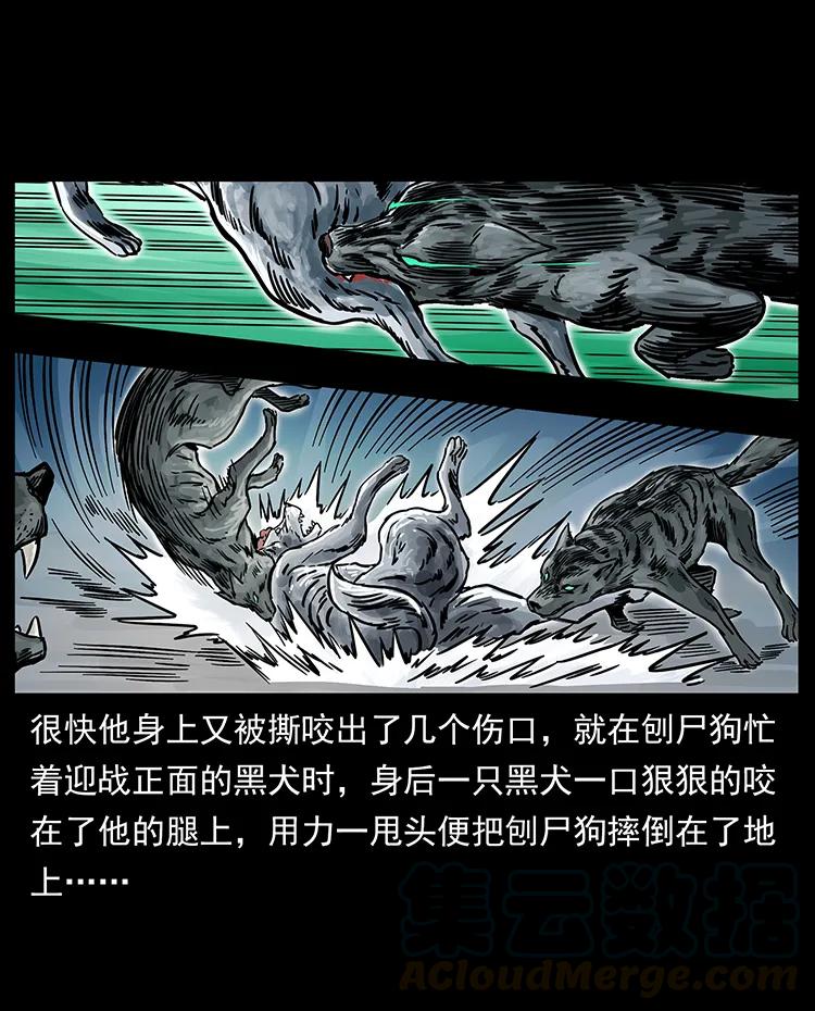 252 危机！危机20