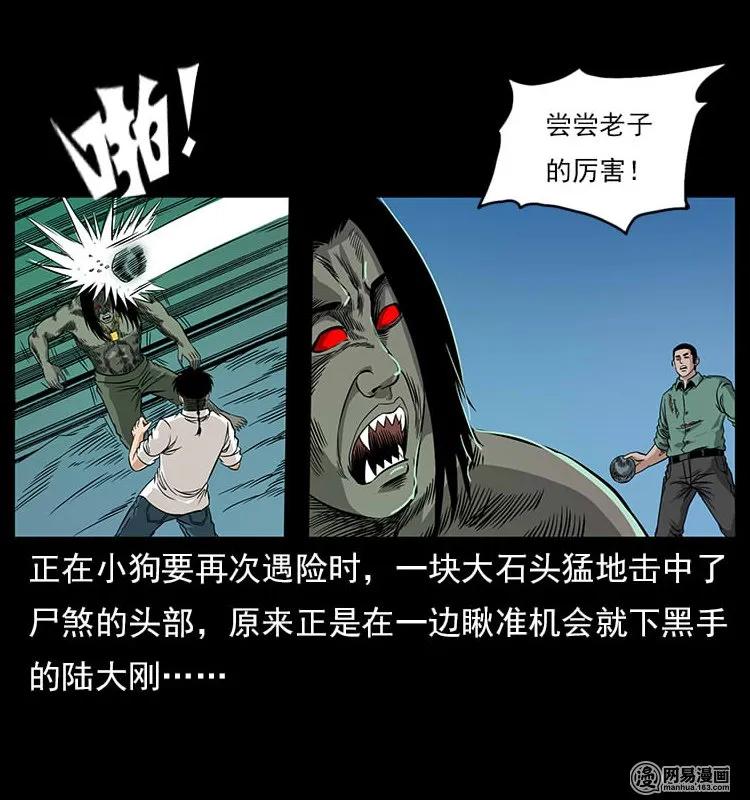 118 天宝仙牌30