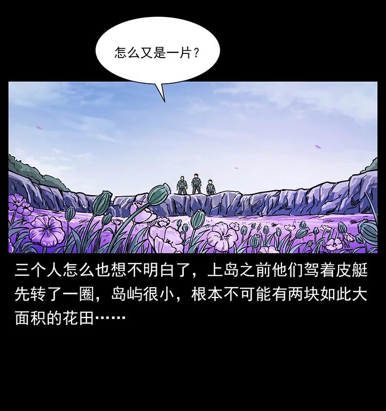 236 神秘的小岛55
