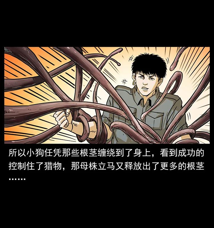 236 神秘的小岛66