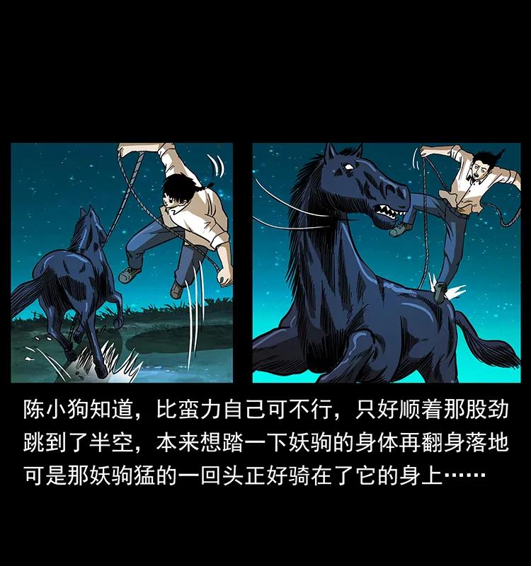 158 妖驹的选择31