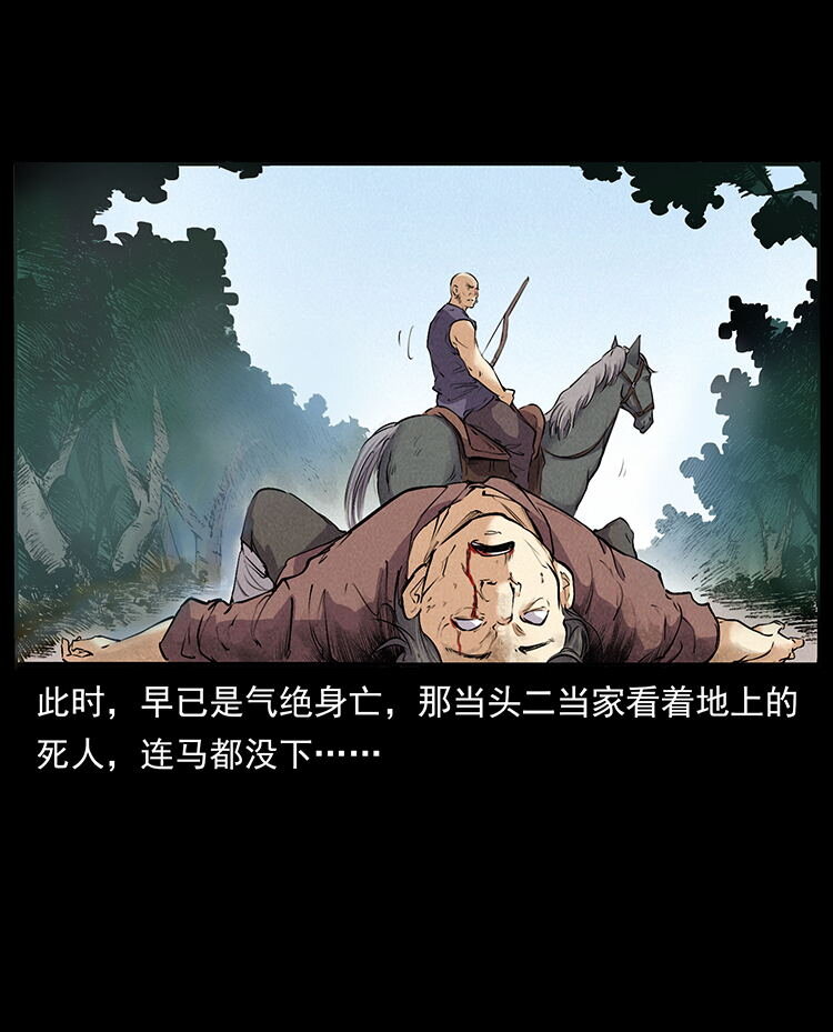 外传 洛生传2 土匪，土匪9