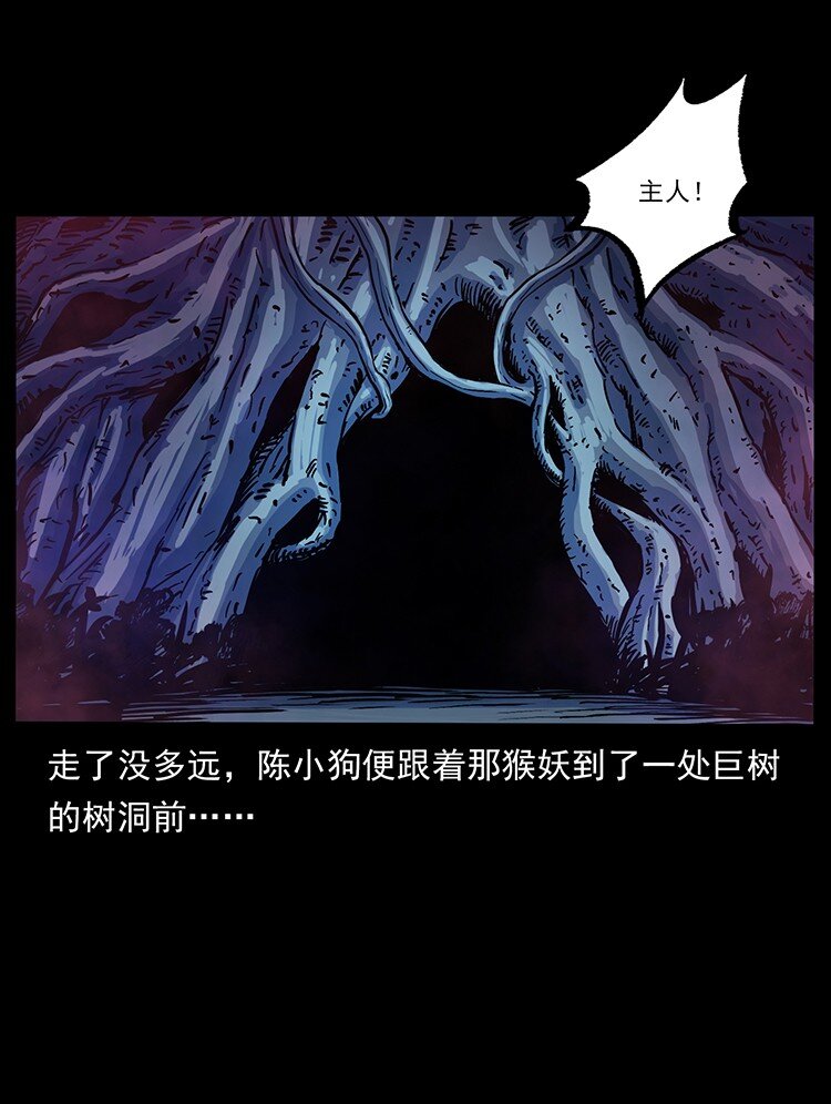 490 黑暗森林41