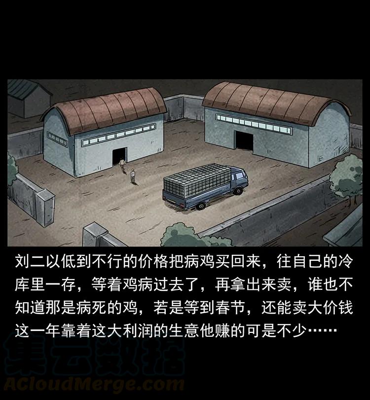 251 刨尸狗遇险40
