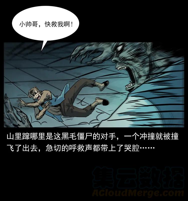 227 猴脑4