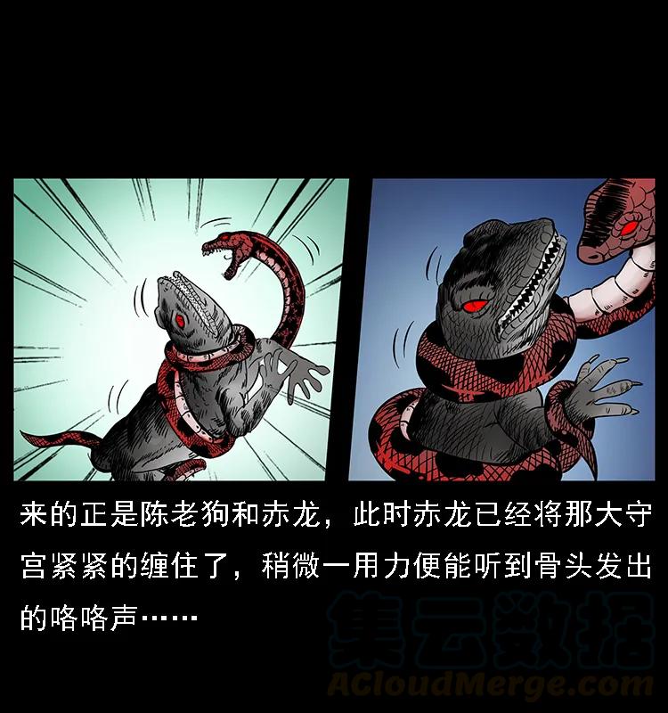 076 守宫33