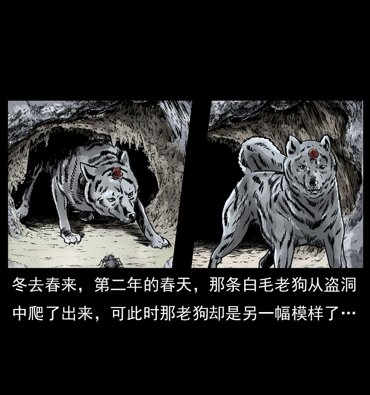 049 刨尸狗传奇275