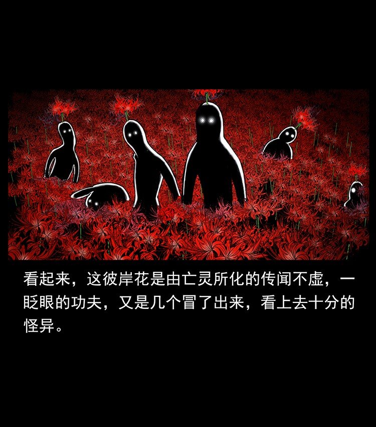 491 硬刚9