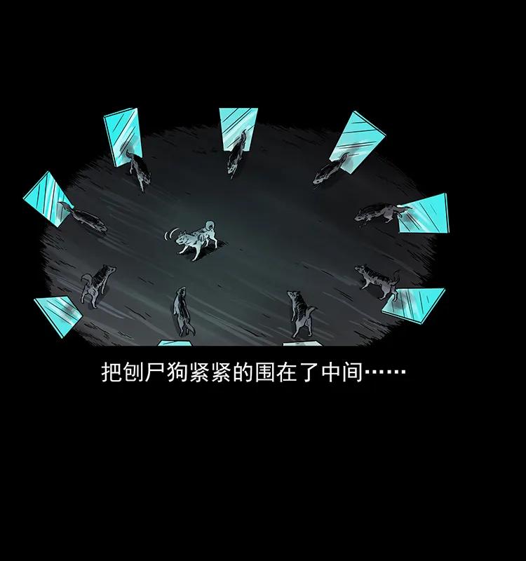 251 刨尸狗遇险83