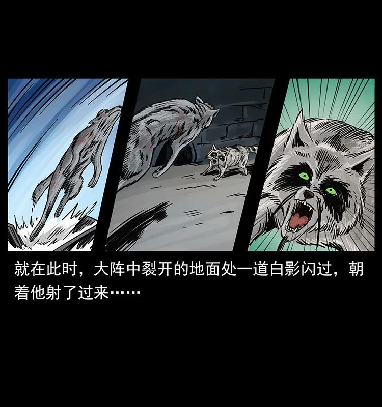 252 危机！危机82