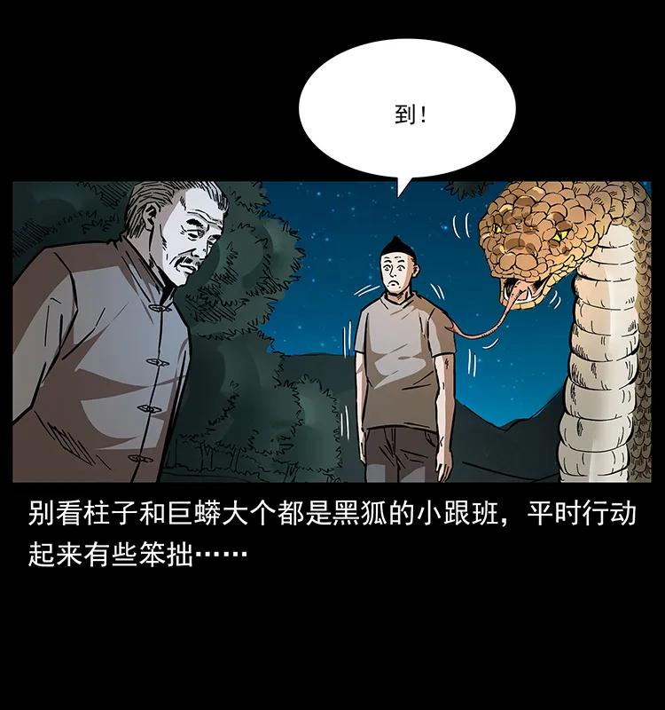 170 布局39