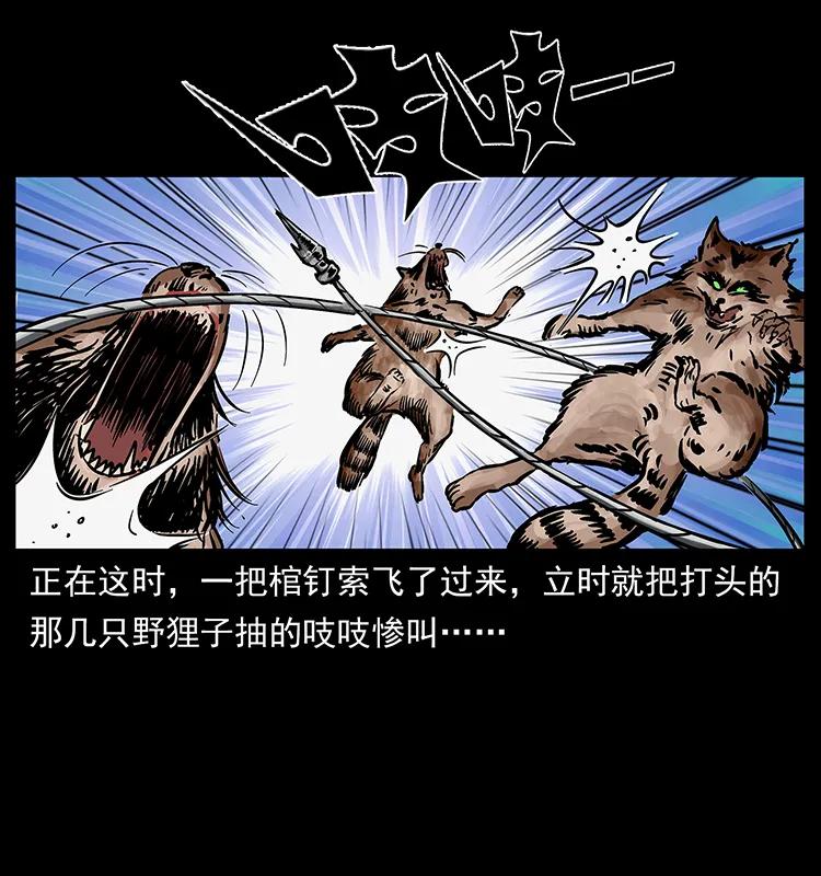 250 走失53