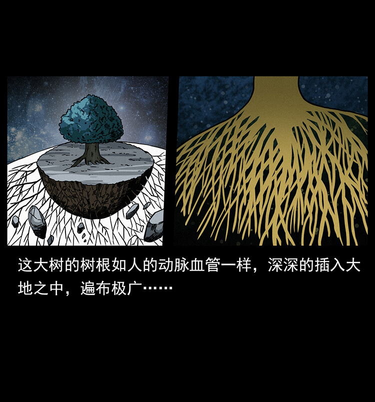 482 以树为启点73