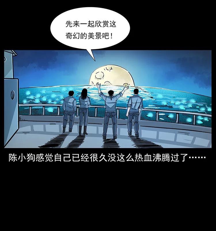 240 意外频发的诱捕65