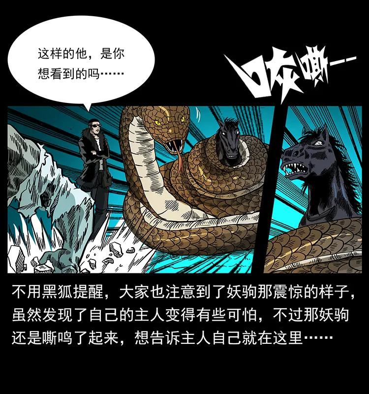 158 妖驹的选择54