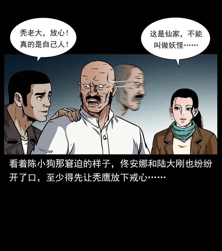 321 星图5