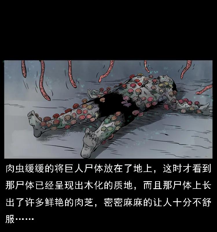 082 鬼桃树38