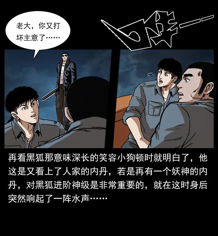 242 陈小狗失算了74