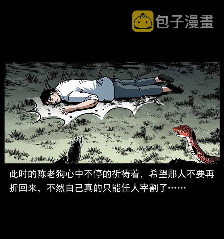 167 陈老狗遇险42