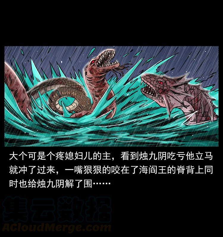 246 海妖32
