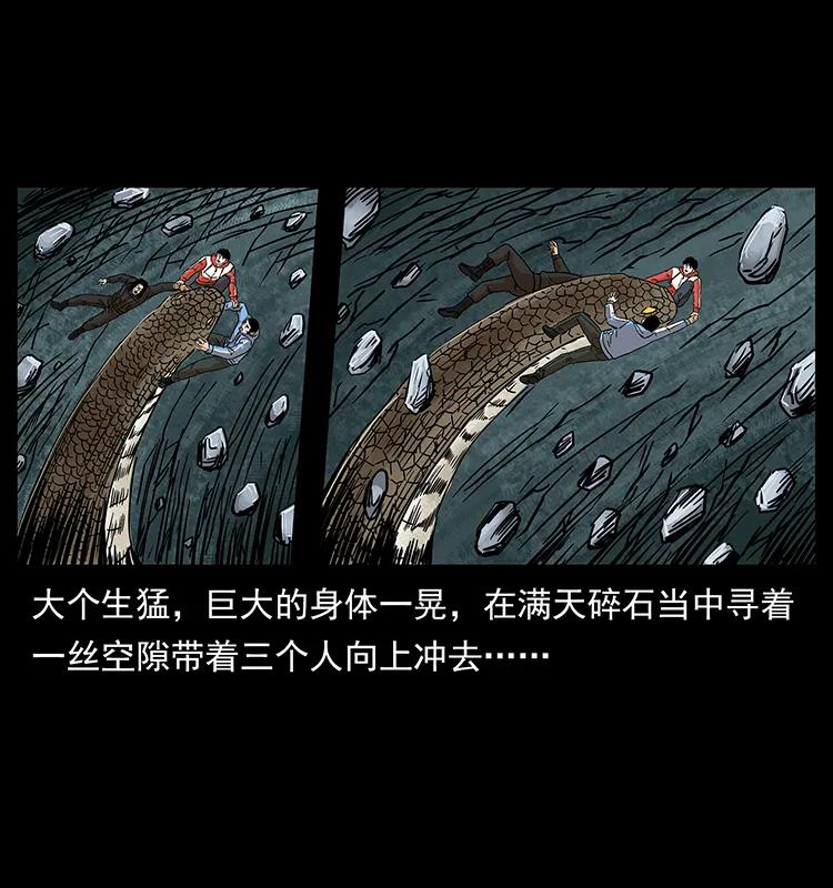 220 漠北白狼王33