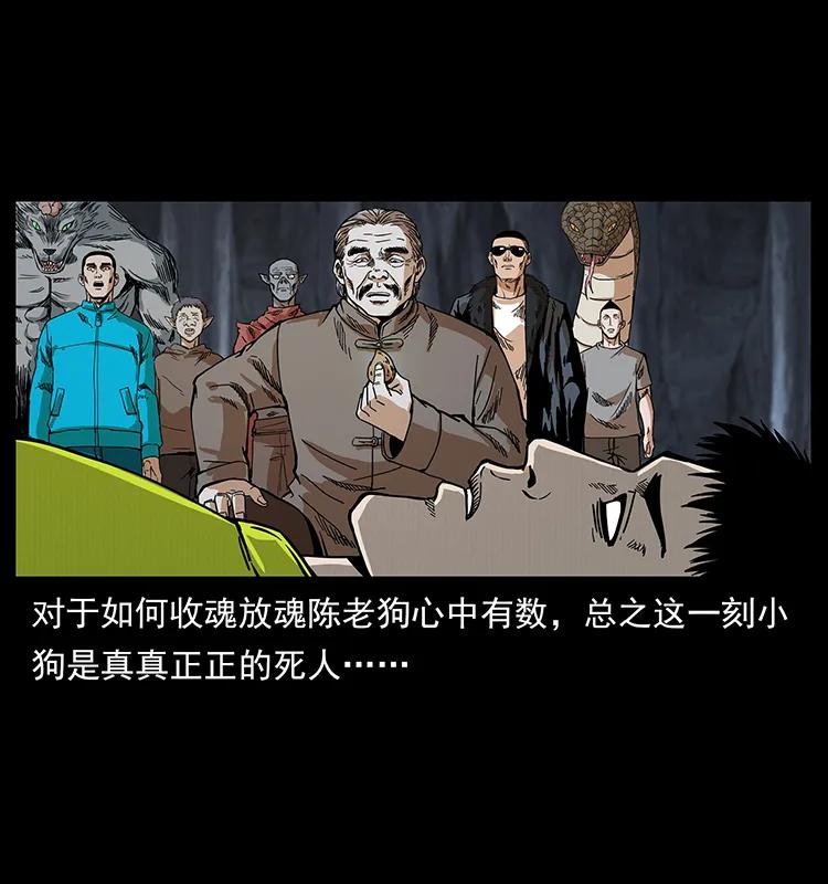 202 龙胆31