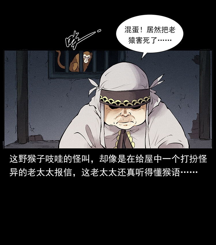 外传 洛生传3 剿匪2