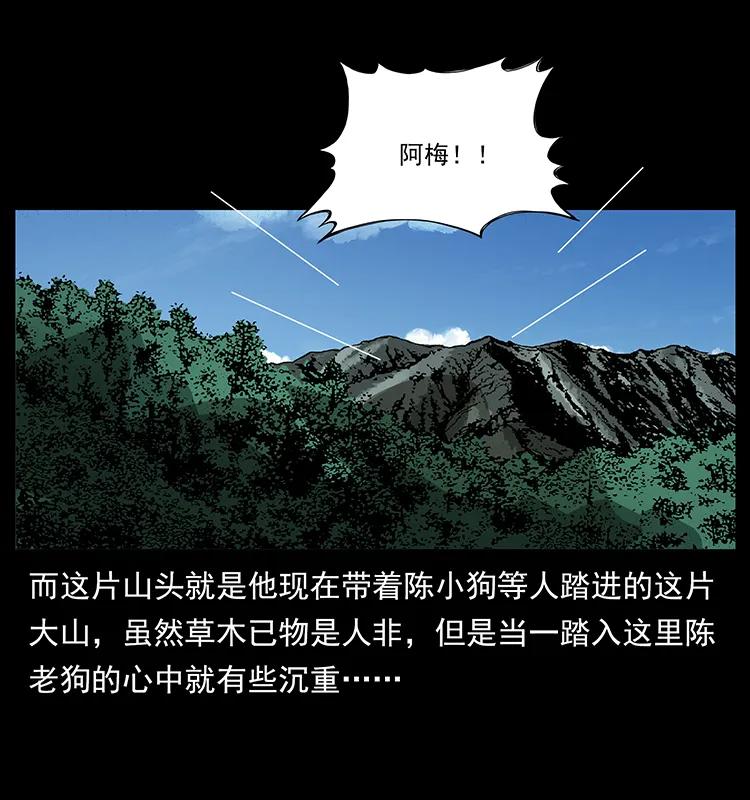 167 陈老狗遇险82