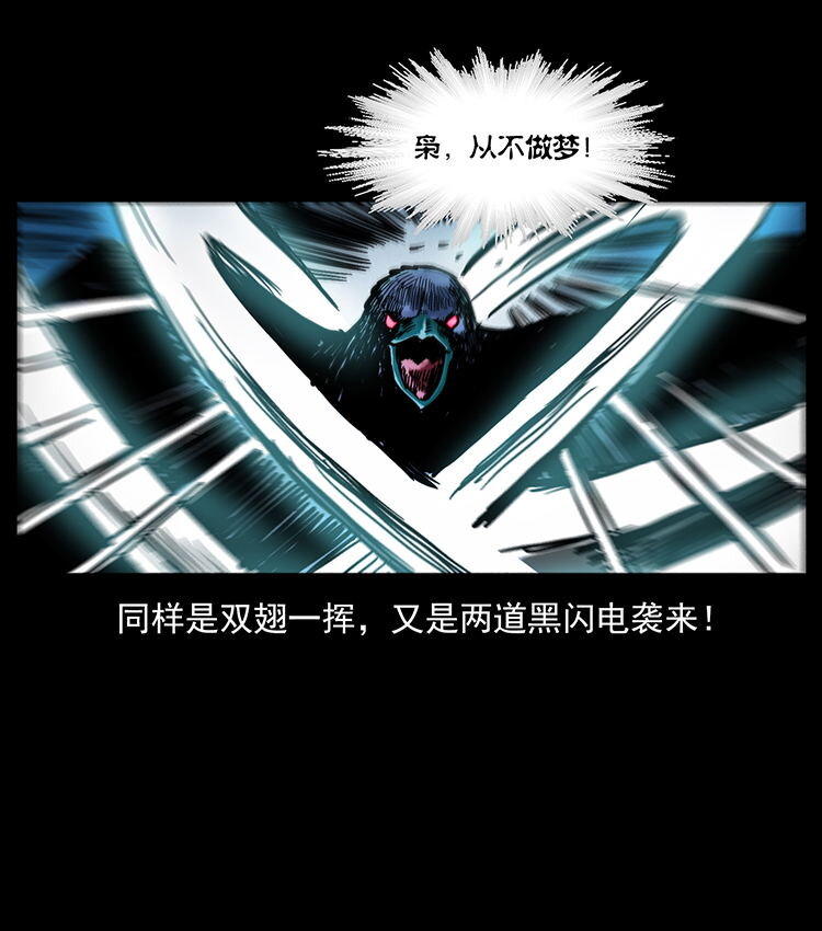 484 极地鸦族33
