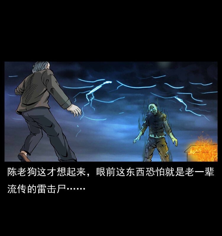 041 雷击尸248