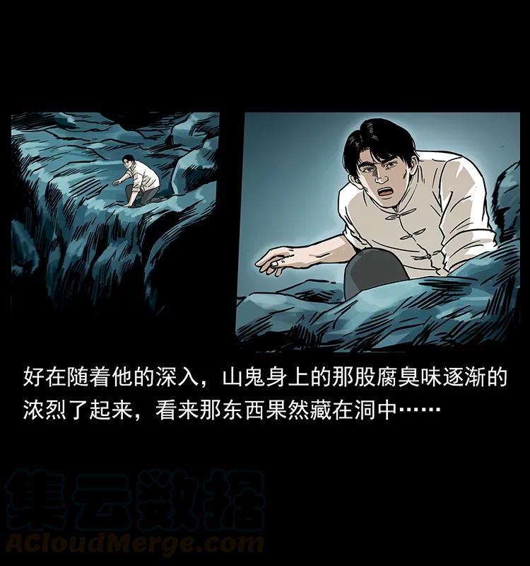 231 东海木龙20
