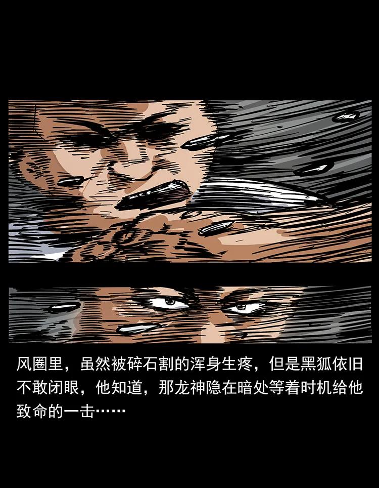 199 黑狐不好惹19