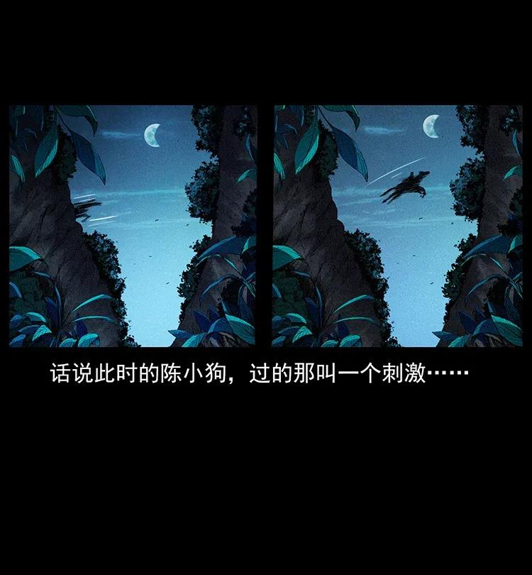 370 乌翅凤凰2