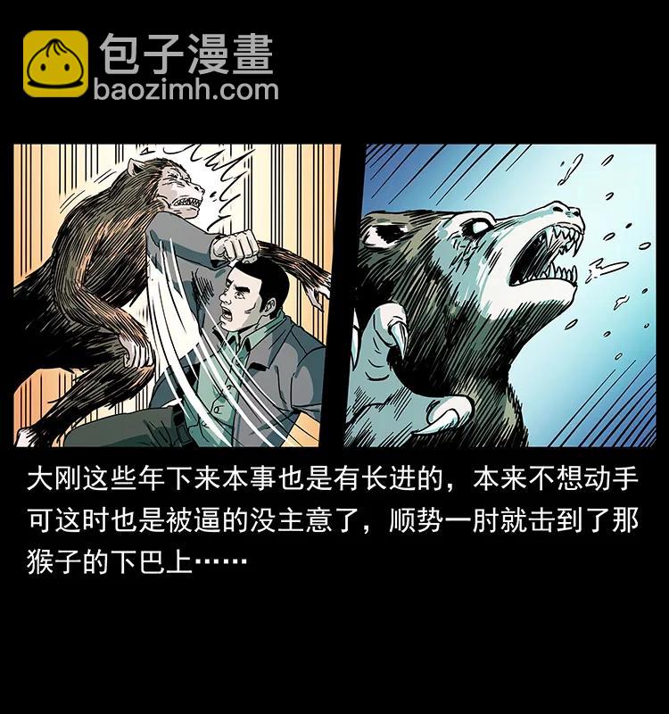 228 凶兽77
