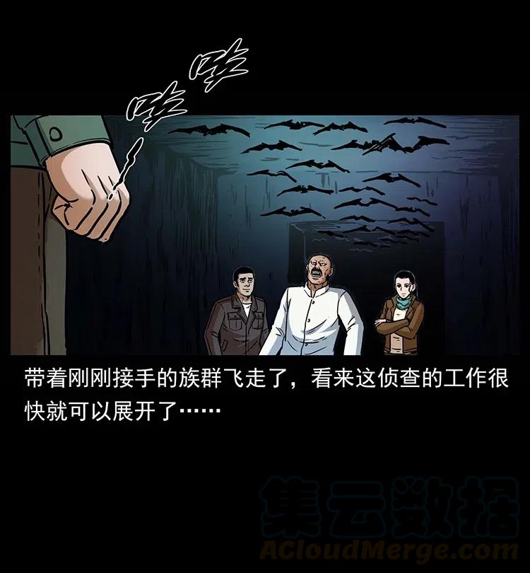 321 星图4