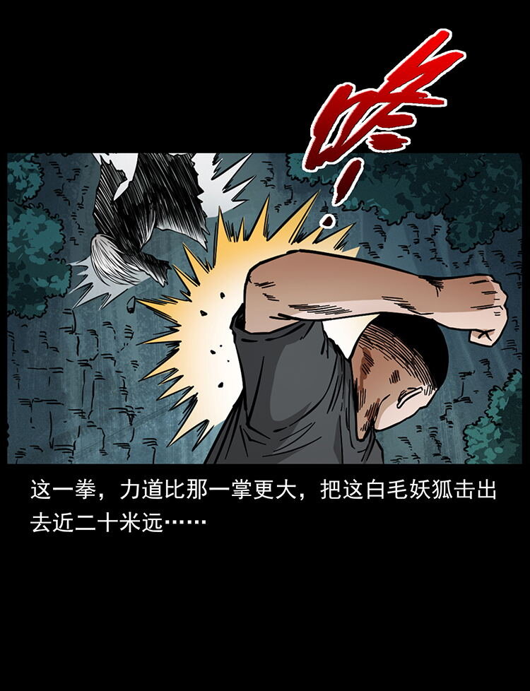 486 人与狐29