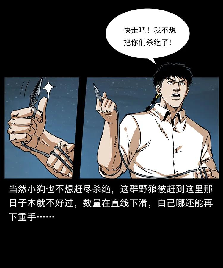 212 草原深处47