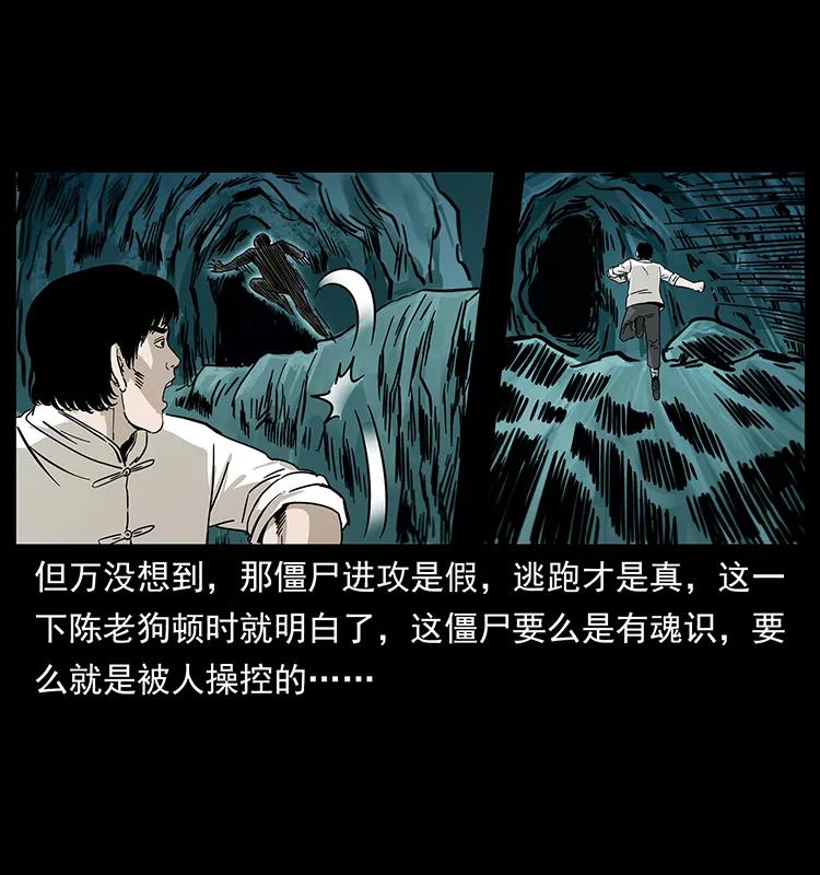 231 东海木龙30
