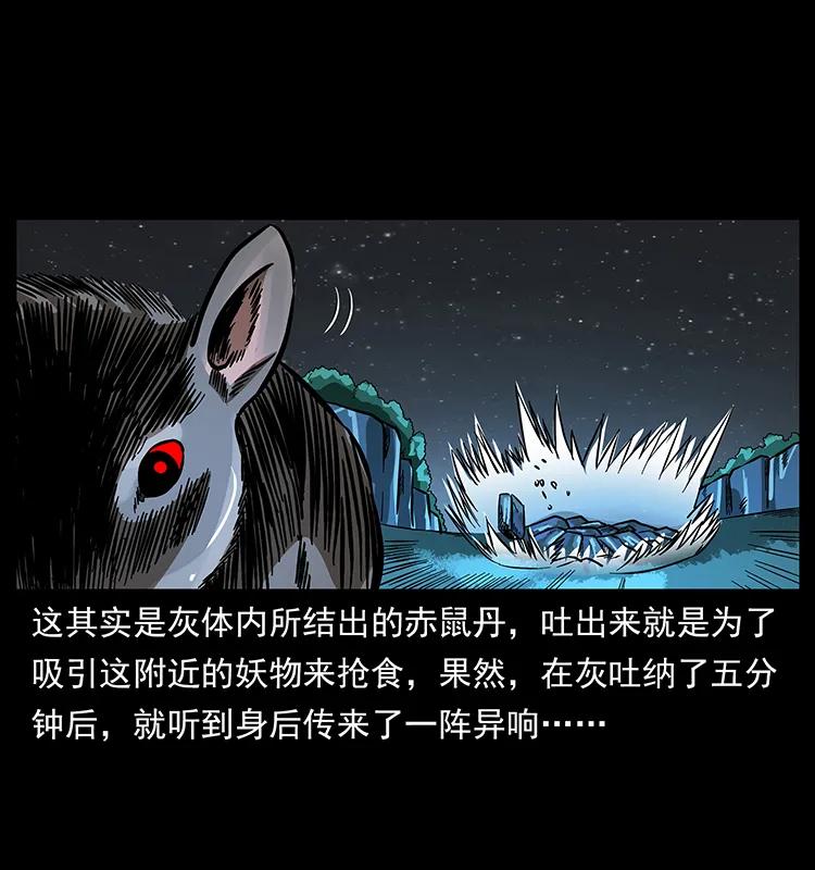 163 陈老狗下南疆9