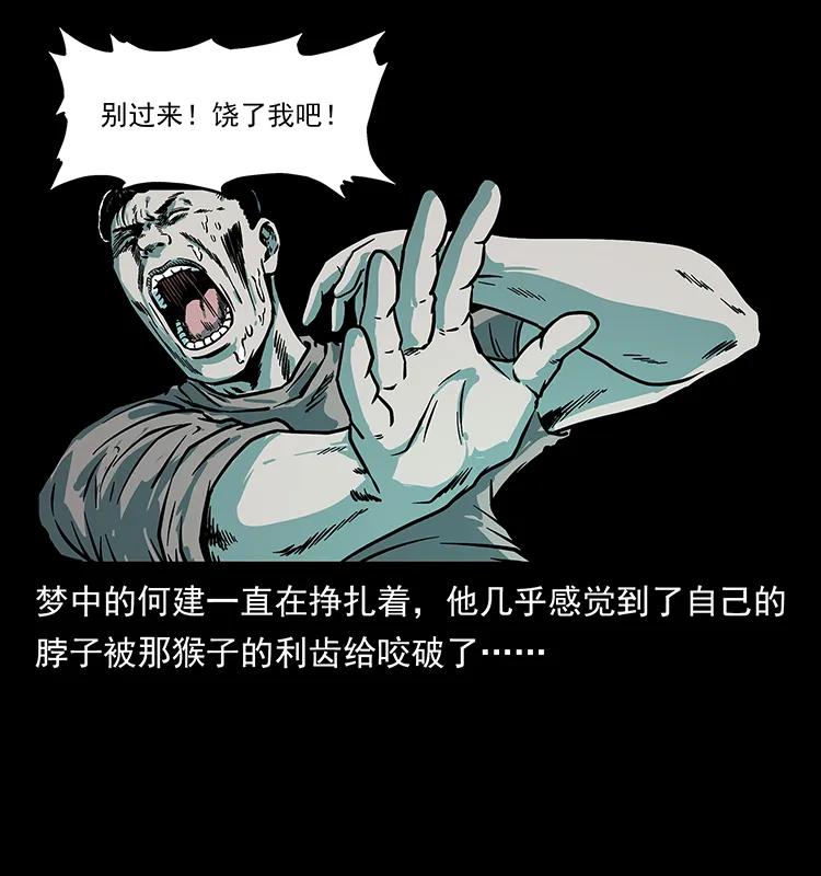 228 凶兽33