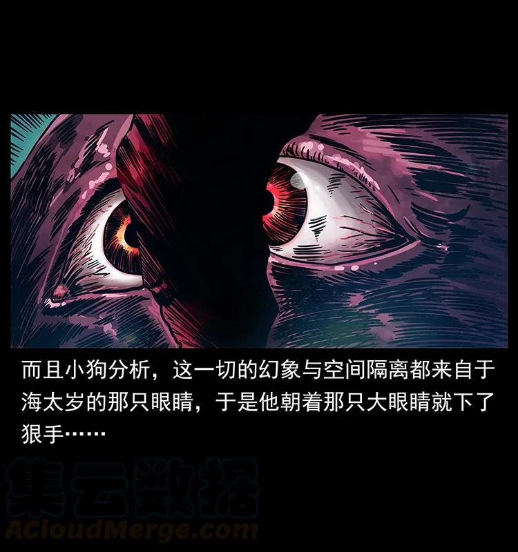 242 陈小狗失算了52