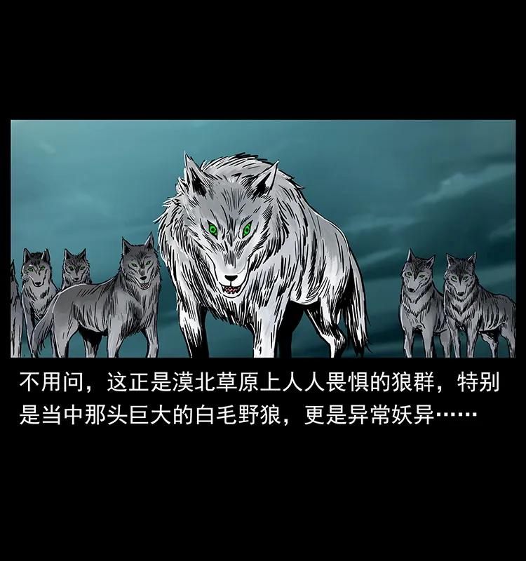 220 漠北白狼王79