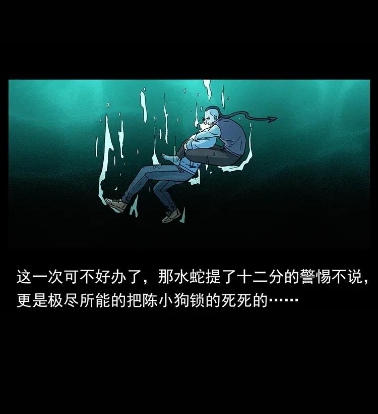 285 水蛟一族30