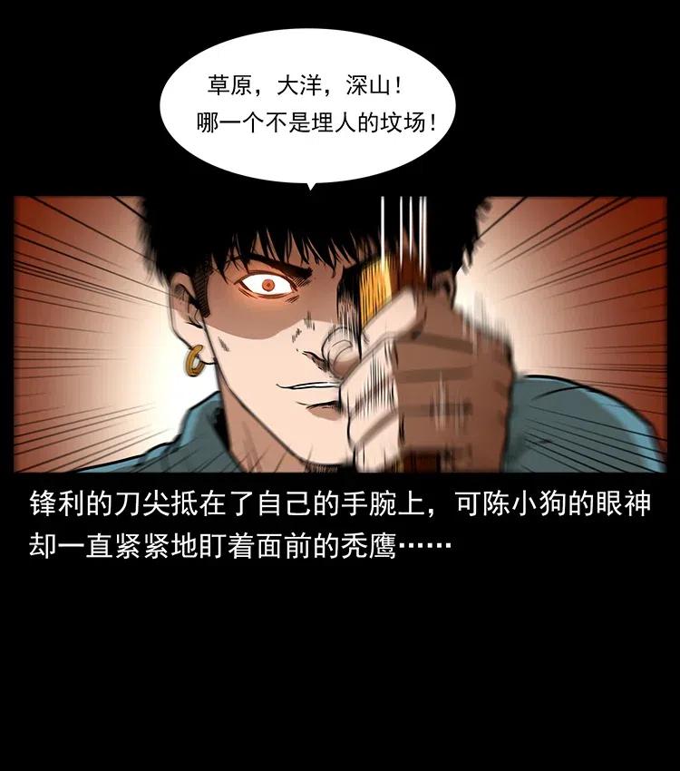317 大漠凶兽39
