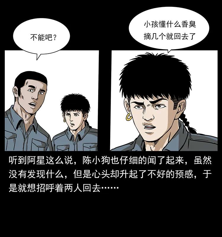 236 神秘的小岛43