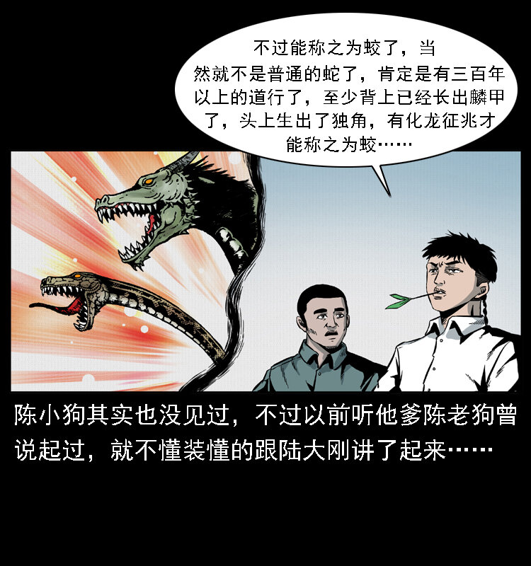 020 陈小狗捉鬼（下）57