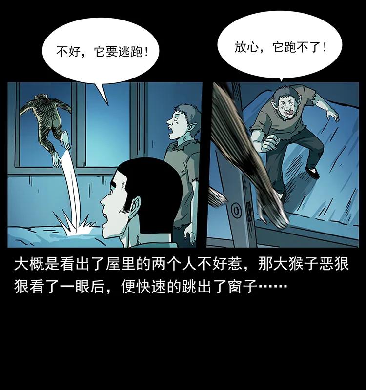 228 凶兽79