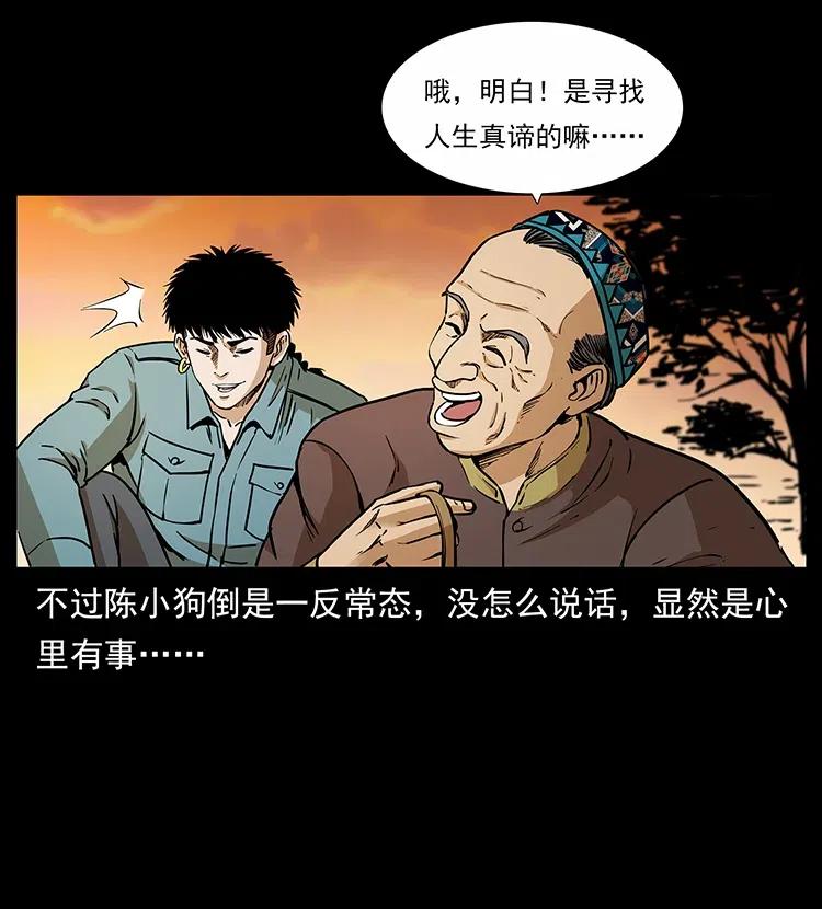 316 大漠归客29