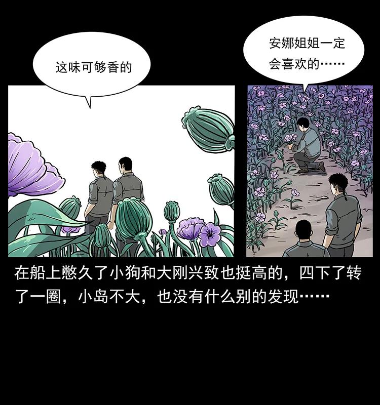 236 神秘的小岛41